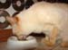 20100511johnny5557