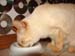 20100511johnny5558