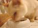 20100511johnny5562