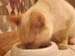 20100511johnny5563