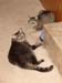 20100616zach-n-mynx5757