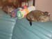 20100903zach-n-mynx5867