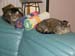 20100903zach-n-mynx5868
