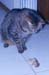 20120530nbk03cropped