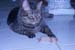 20120530nbk09g