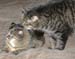 20130312zach-n-mynx4