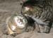 20130312zach-n-mynx5