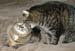20130312zach-n-mynx6