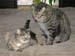 20130312zach-n-mynx7