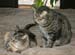 20130312zach-n-mynx9