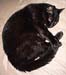 katie-curled-up