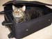 zach-in-a-suitcase