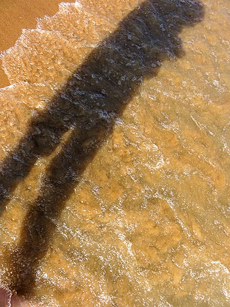 Shadow in the water at the Bay of Bengal, image copyright © 2015-2018 Janet Kuypers