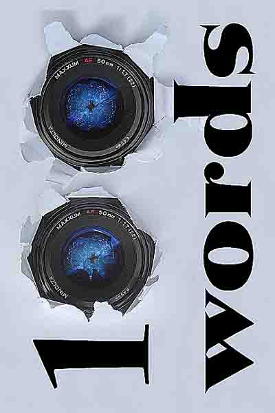 100 Words, 2011 poetry collection book