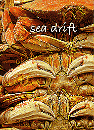 sea drift