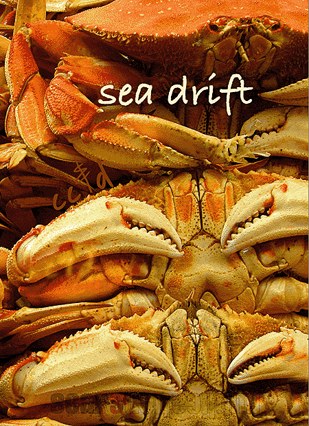 Sea Drift