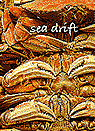 Sea Drift