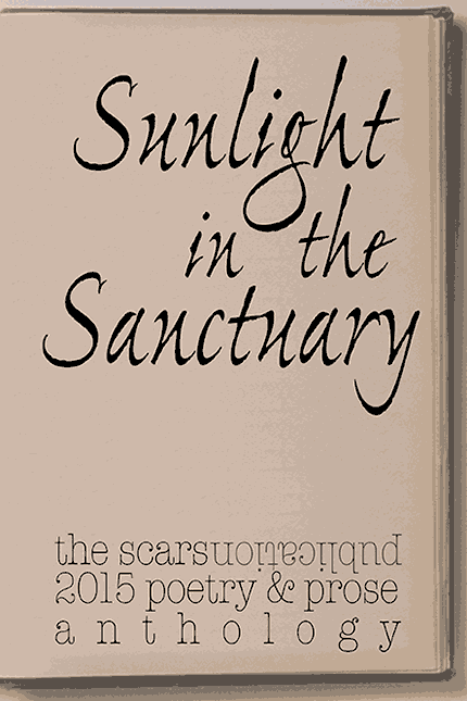 “the 2016 literary date book anthology” front cover