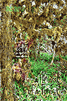 a Mural of a Forest