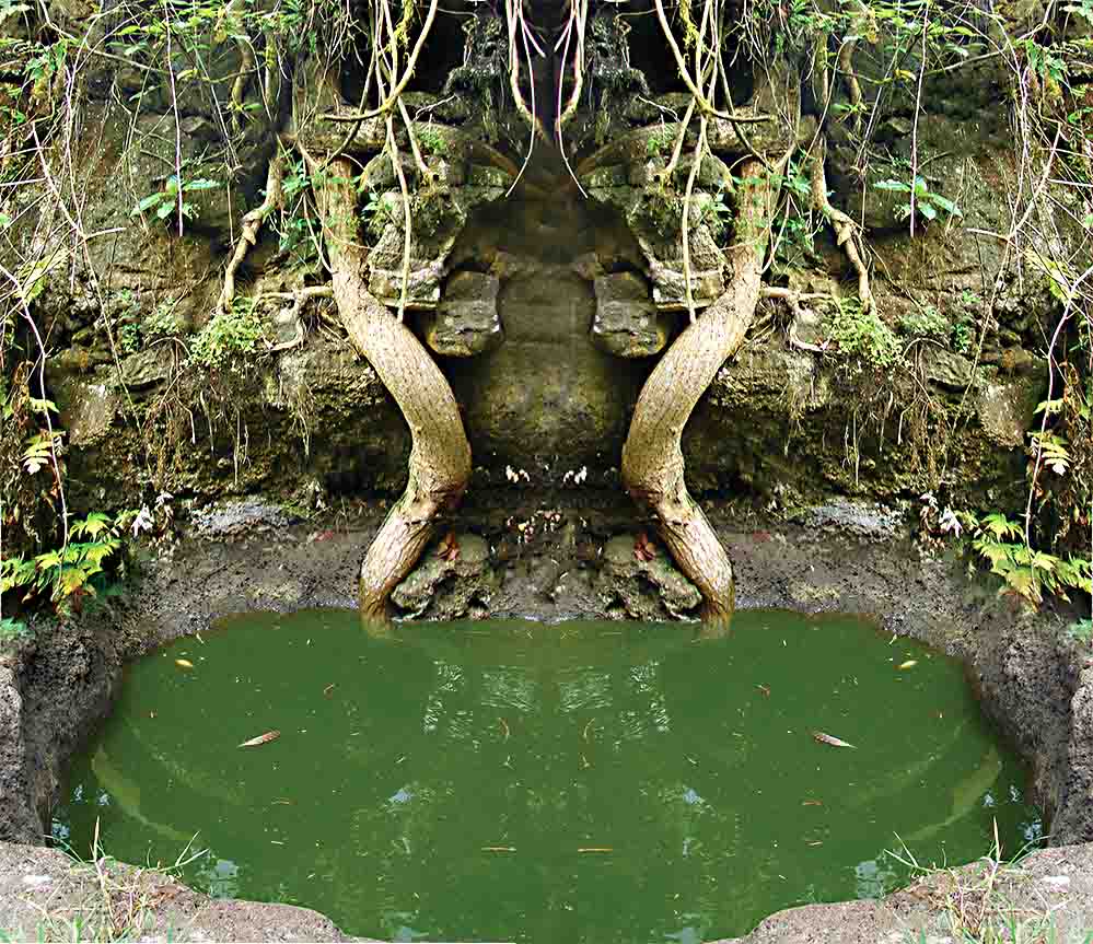 Out of the Swamp