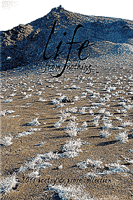 Life... from Nothing 