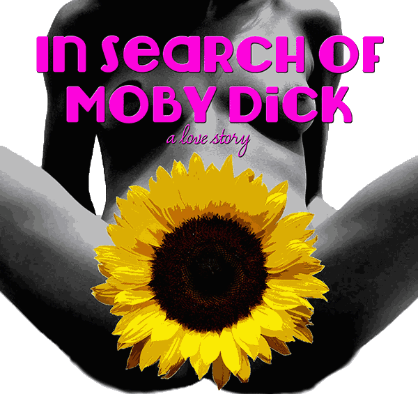 in Searh of Moby Dick image by S.L. Dixon