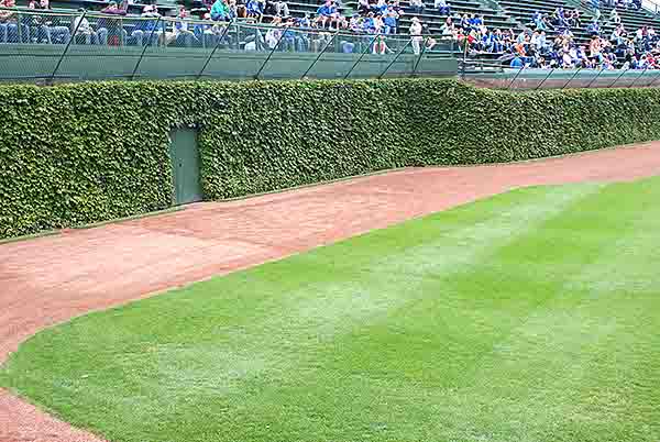 Wrigley Field photography, copyright 2015-2016 Janet Kuypers