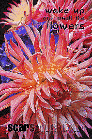 Wake Up and Smell the Flowers