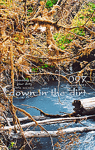 Down in the Dirt