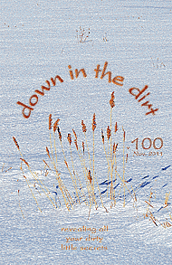 Down in the Dirt
