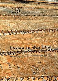 Down in the Dirt