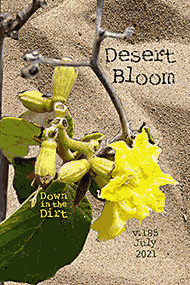 Down in the Dirt