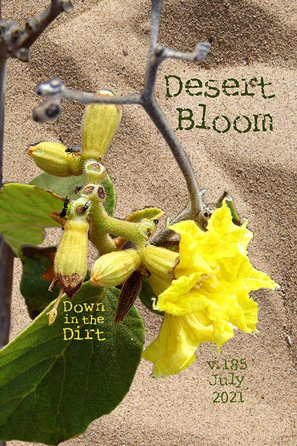 Down in the Dirt