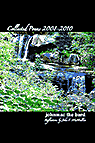 Collected Poems 2008-2010, a John F McMullen book