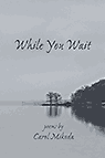 While you Wait, a Carol Mikoda book