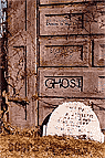 Ghost, a Brandon S. Roy book